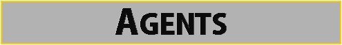 Kevin Lewis Properties Agents