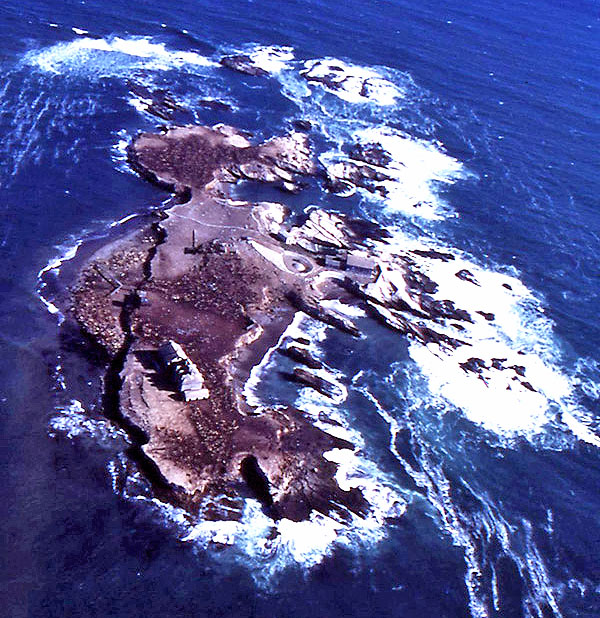 ano nuevo island